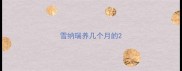 雪纳瑞养几个月的