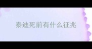 泰迪死前有什么征兆