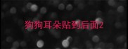 狗狗耳朵贴到后面