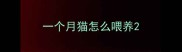 一个月猫怎么喂养