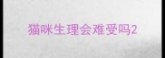 猫咪生理会难受吗