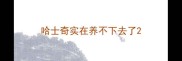 哈士奇实在养不下去了