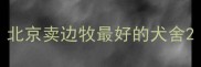 北京卖边牧最好的犬舍