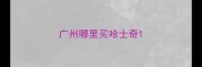 广州哪里买哈士奇