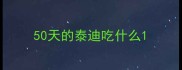 50天的泰迪吃什么
