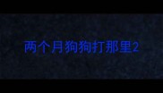 两个月狗狗打那里