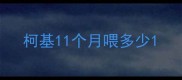 柯基11个月喂多少