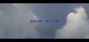 金毛美容一次多少钱