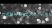 最火小众萌宠推荐角雕蜂鸟树蛙怎么选新手必看宠物鸟饲养全攻略