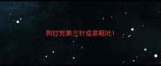 狗打完第三针疫苗呕吐