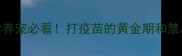 宠物疫苗时间表全科学养宠必看打疫苗的黄金期和禁忌期你真的了解吗