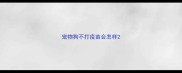 宠物狗不打疫苗会怎样