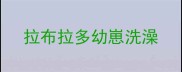 拉布拉多幼崽洗澡