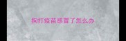 狗打疫苗感冒了怎么办