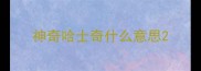 神奇哈士奇什么意思