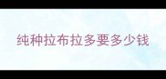 纯种拉布拉多要多少钱
