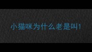 小猫咪为什么老是叫