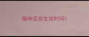 猫咪疫苗生效时间