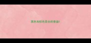 黑色和棕色混合的泰迪