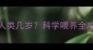 三个月大马犬相当于人类几岁科学喂养全攻略附成长周期表
