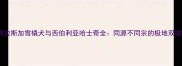 阿拉斯加雪橇犬与西伯利亚哈士奇全同源不同宗的极地双雄