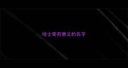 哈士奇有意义的名字