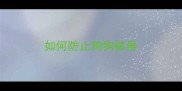 如何防止狗狗被毒