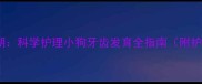 3-4个月换牙期科学护理小狗牙齿发育全指南附护理工具推荐