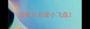 边牧只会接小飞盘