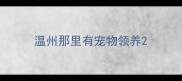 温州那里有宠物领养