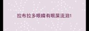 拉布拉多眼睛有眼屎流泪