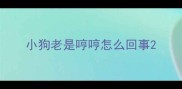 小狗老是哼哼怎么回事