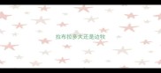 拉布拉多大还是边牧