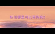 杭州哪里可以带狗狗