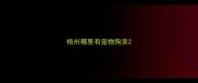 梧州哪里有宠物狗卖