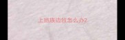 上班族边牧怎么办