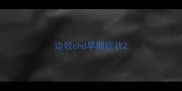 边牧chd早期症状
