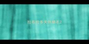 拉布拉多天热掉毛