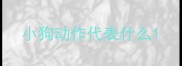 小狗动作代表什么