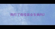 狗打了假疫苗会生病吗