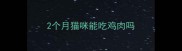 2个月猫咪能吃鸡肉吗