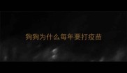 狗狗为什么每年要打疫苗