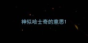 神似哈士奇的意思