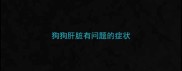 狗狗肝脏有问题的症状