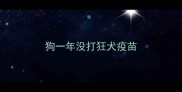 狗一年没打狂犬疫苗