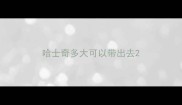 哈士奇多大可以带出去