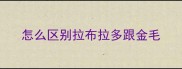 怎么区别拉布拉多跟金毛