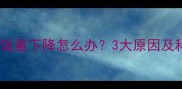 哈士奇驱虫后饭量下降怎么办3大原因及科学应对指南