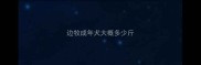 边牧成年犬大概多少斤