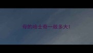 母的哈士奇一般多大